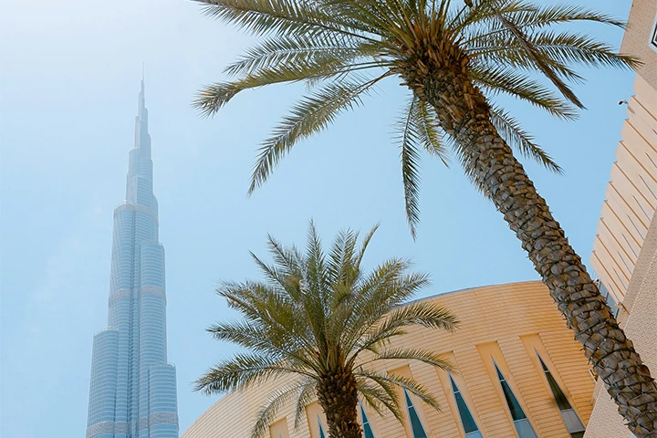 Burj Khalifa i Dubai omgiven av palmer mot en klar himmel